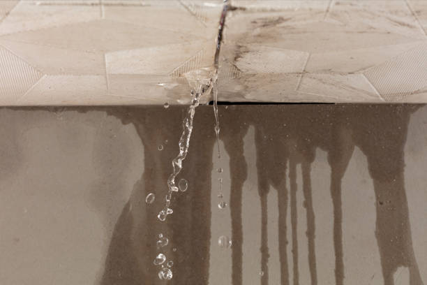 Professional Water Extraction technician working in Willis, TX